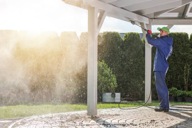 Best Solar Panel Cleaning  in Elmwood Park, IL